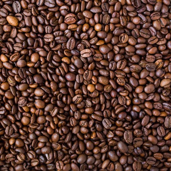Gourmet coffee beans or ground