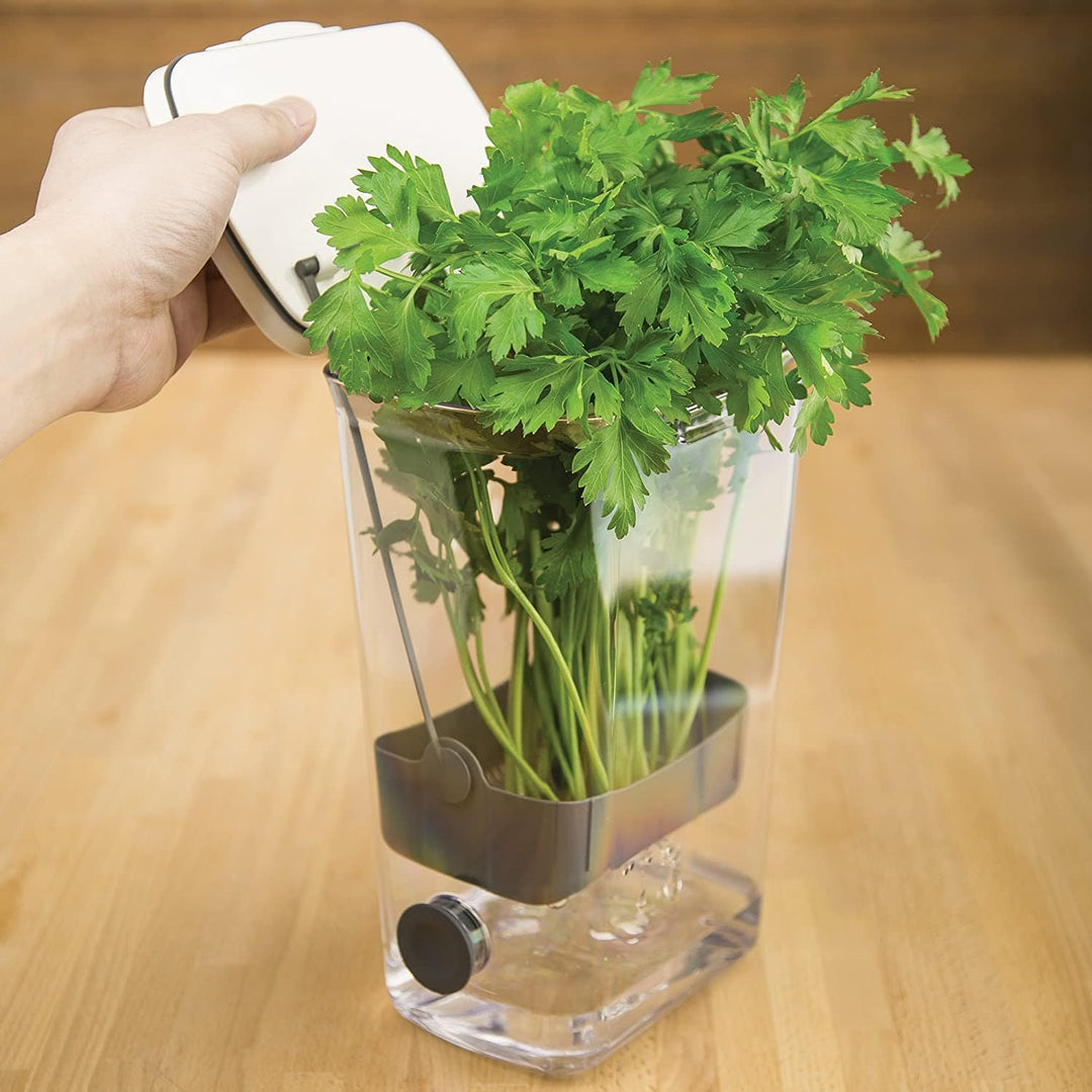 Fresh Herb ProKeeper by Progressive PrepWorks