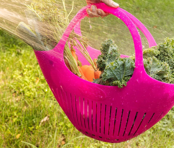 Hutzler Hutzler Garden Colander - Assorted Colors