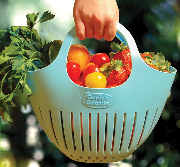 Hutzler Hutzler Garden Colander - Assorted Colors