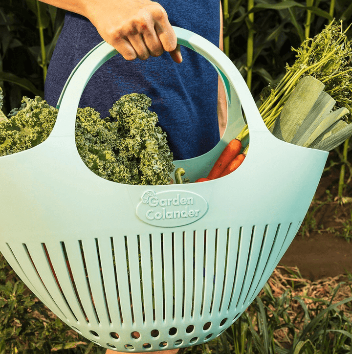 Hutzler Hutzler Garden Colander - Assorted Colors