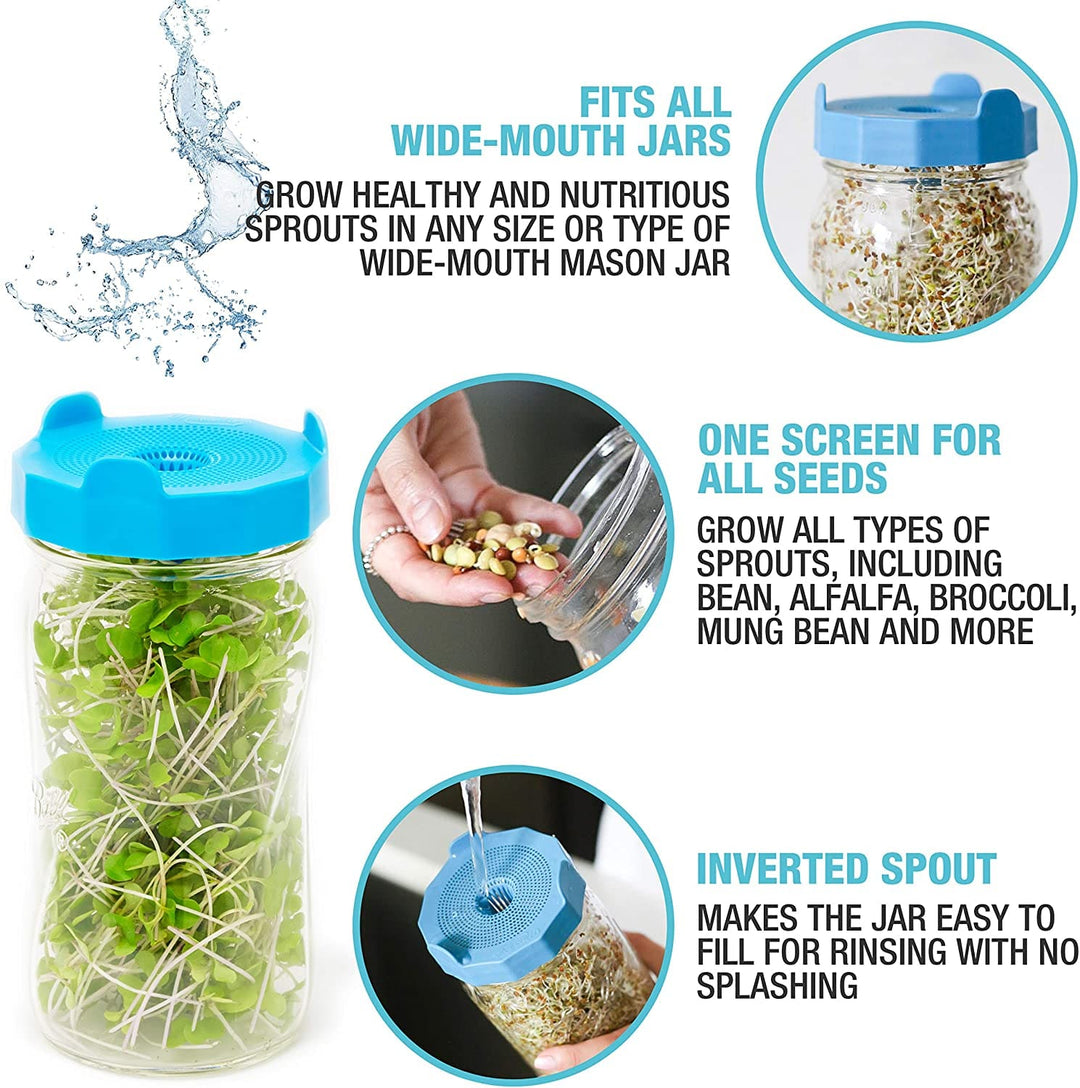 Wide Mouth Bean Sprouting Lids for Mason Jars by MasonTops