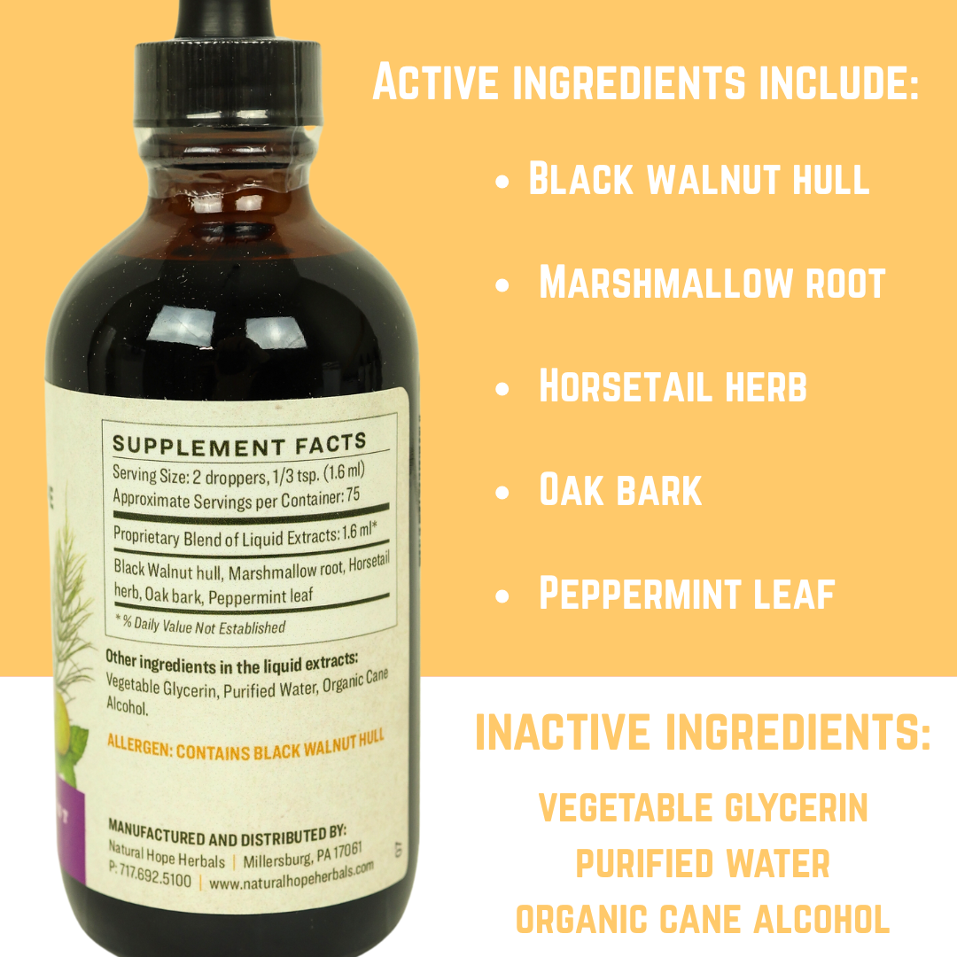 Organic Dental Formula by Natural Hope Herbals