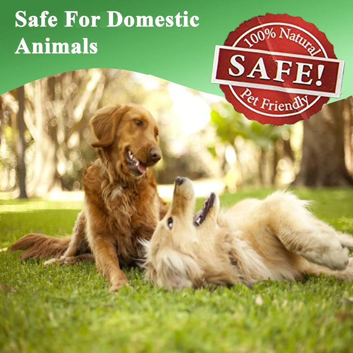 Repellex Mole and Gopher All Natural Rodent Repellent Granules for Lawn