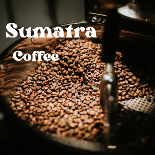 Sumatra, dark roast coffee