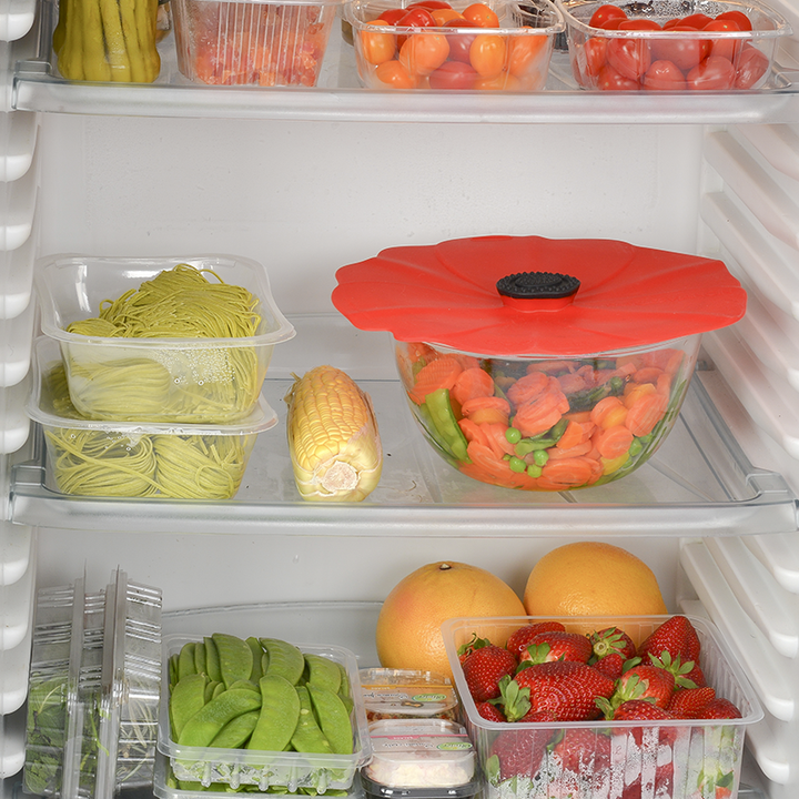 Charles Viancin Food Storage Containers with Lids
