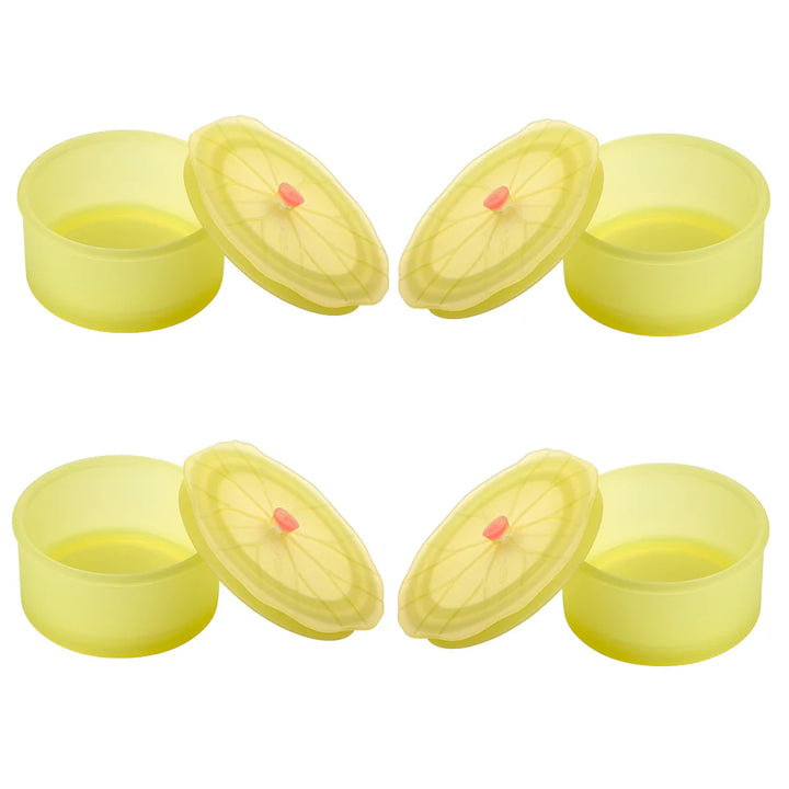 Lilypad Silicone Storage Containers Set of 4 by Charles Viancin