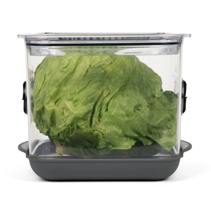 Square Produce Prokeeper+ by Progressive