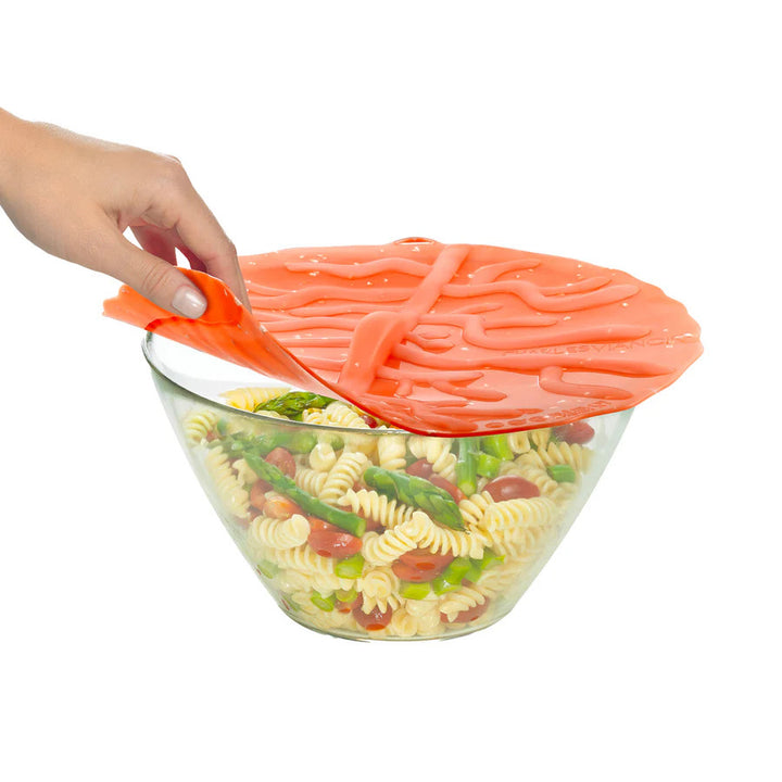 Coastal Beach Themed Silicone Reusable Lid Covers by Charles Viancin for Mixing Bowls, Pots and Pans, Containers, and Cookware