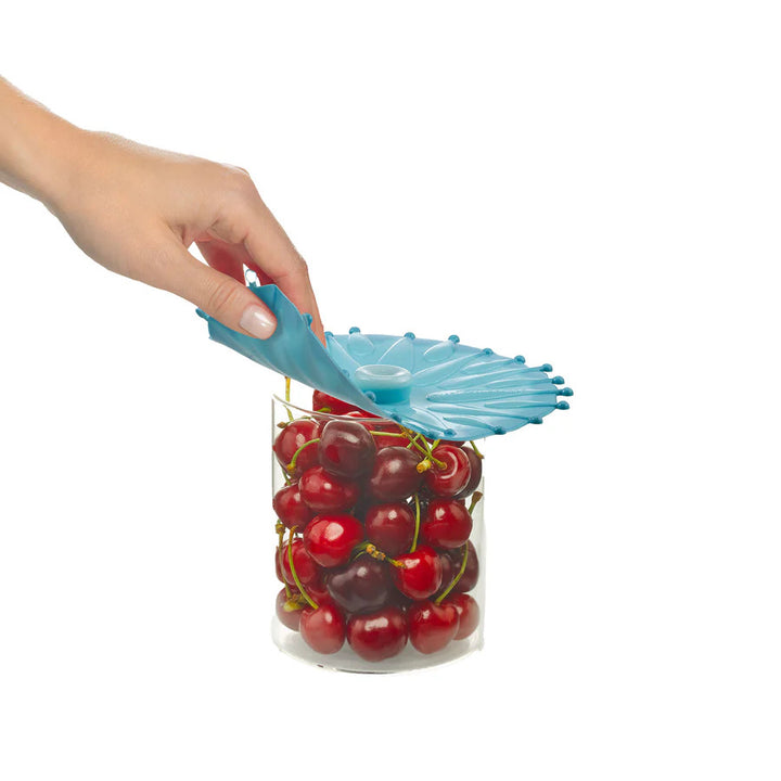 Coastal Beach Themed Silicone Reusable Lid Covers by Charles Viancin for Mixing Bowls, Pots and Pans, Containers, and Cookware