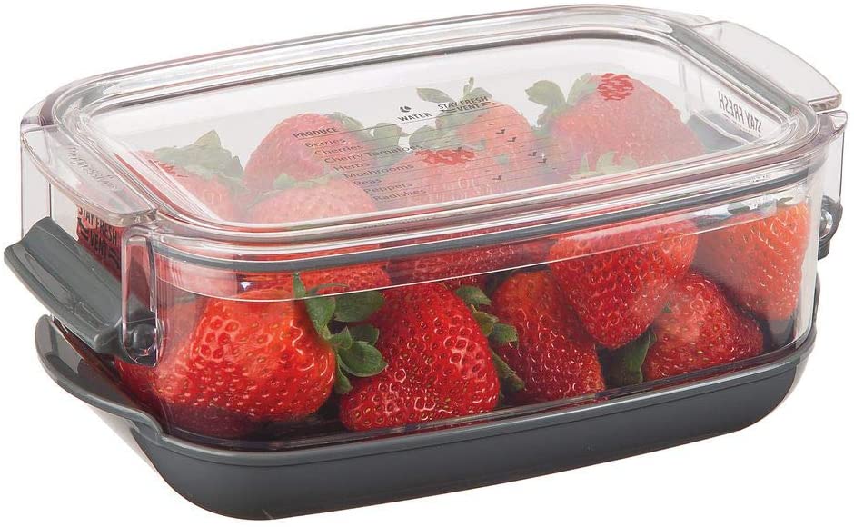 Berry Keeper ProKeeper Fruit Storage Container by Progressive PrepWorks
