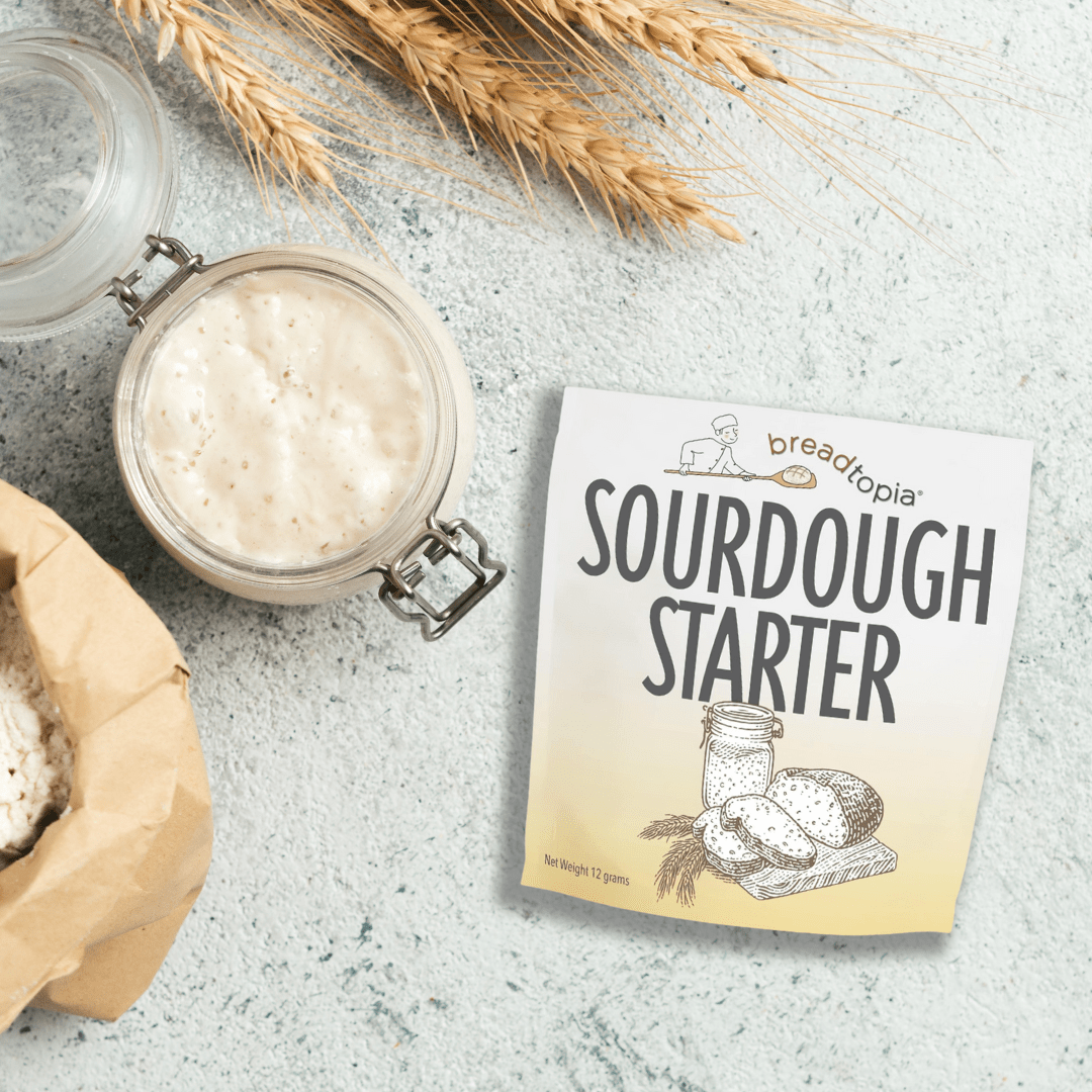 Dry Sourdough Starter Breadtopia