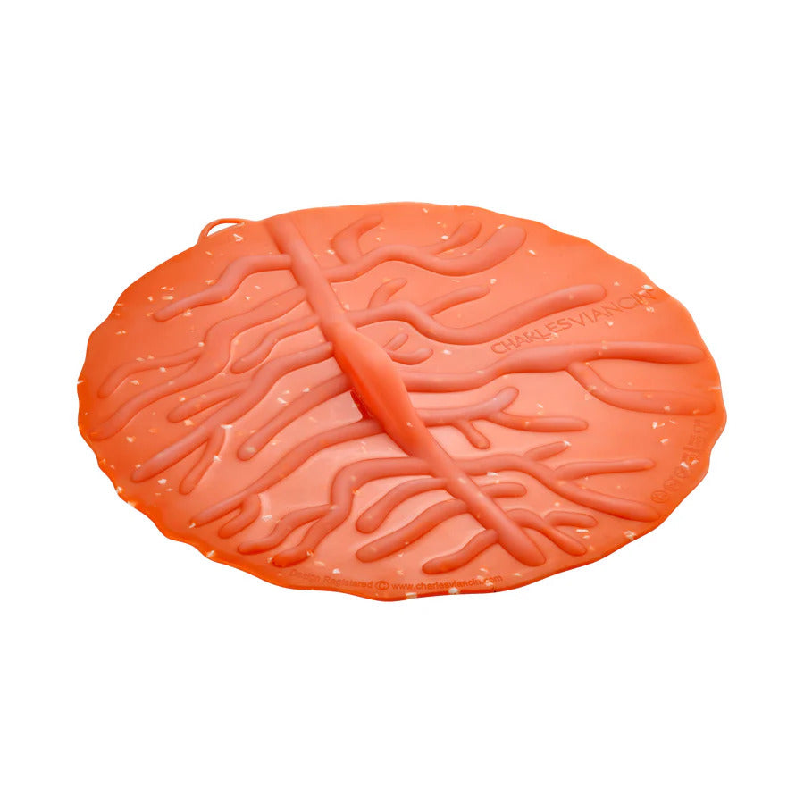 Coastal Beach Themed Silicone Reusable Lid Covers by Charles Viancin for Mixing Bowls, Pots and Pans, Containers, and Cookware