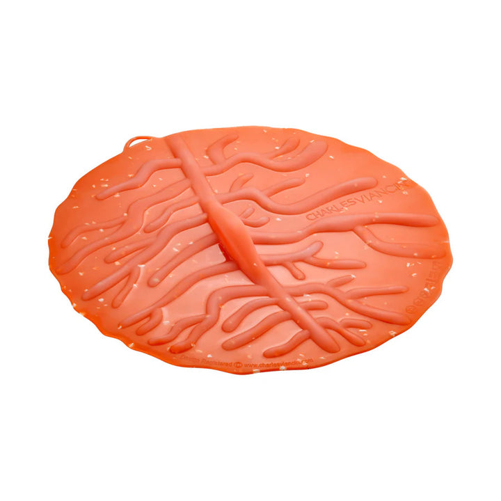 Coastal Beach Themed Silicone Reusable Lid Covers by Charles Viancin for Mixing Bowls, Pots and Pans, Containers, and Cookware