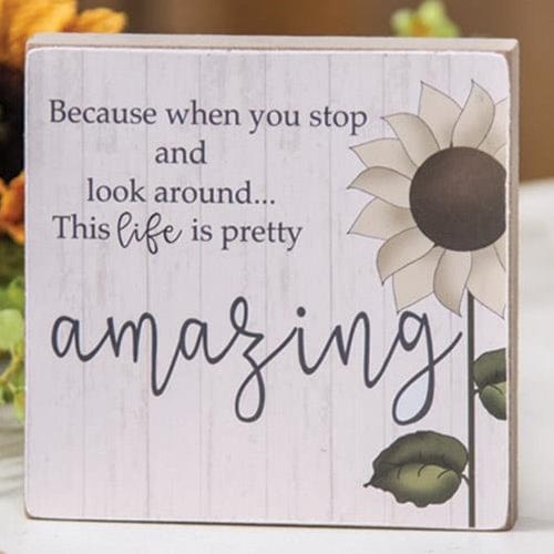 CWI Gifts CWI Gifts "Life is Pretty Amazing" Decorative Sign