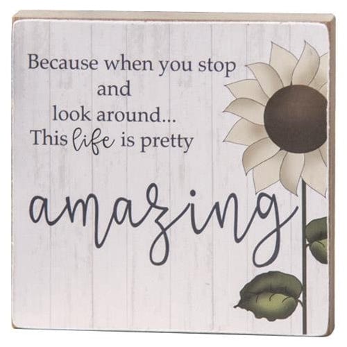 CWI Gifts CWI Gifts "Life is Pretty Amazing" Decorative Sign