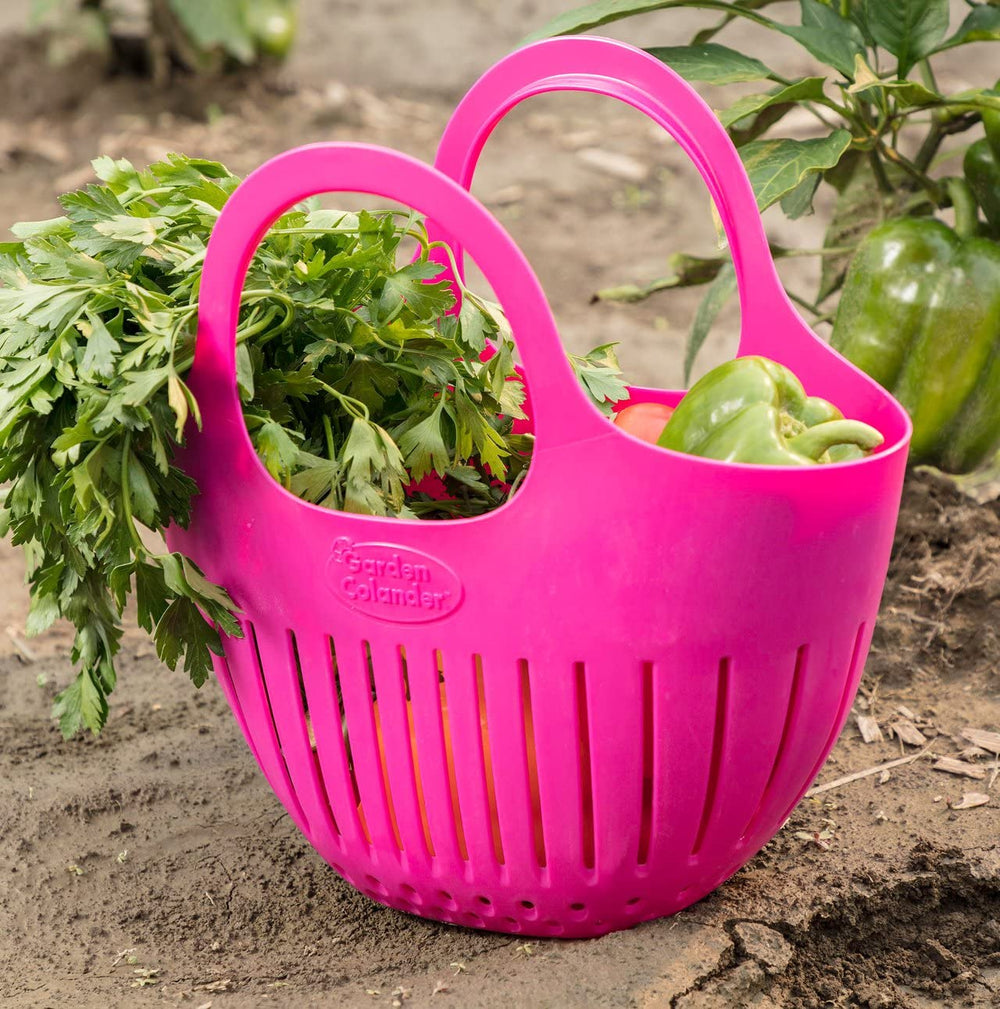 Hutzler Hutzler Garden Colander - Assorted Colors