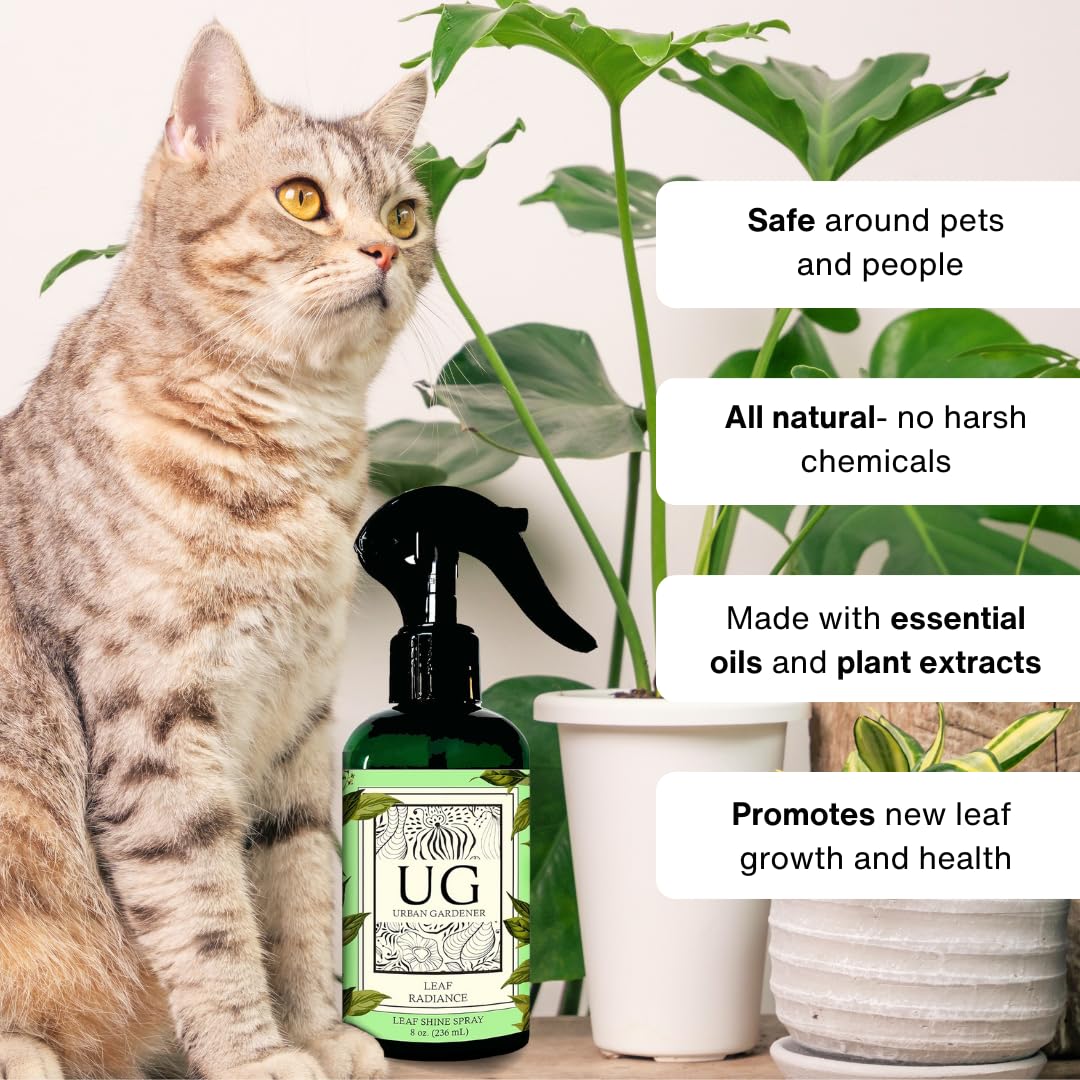 essential oils for indoor plant growth Leaf Radiance Shine Plant Spray by Urban Gardener – Kooi Housewares
