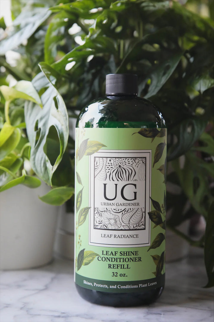 spray plants to bring indoors Leaf Radiance Shine Plant Spray by Urban Gardener, 32 Ounces