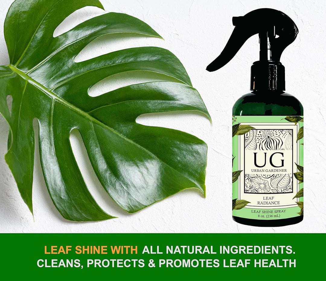 house plant leaf shine Leaf Radiance Shine Plant Spray by Urban Gardener – Kooi Housewares