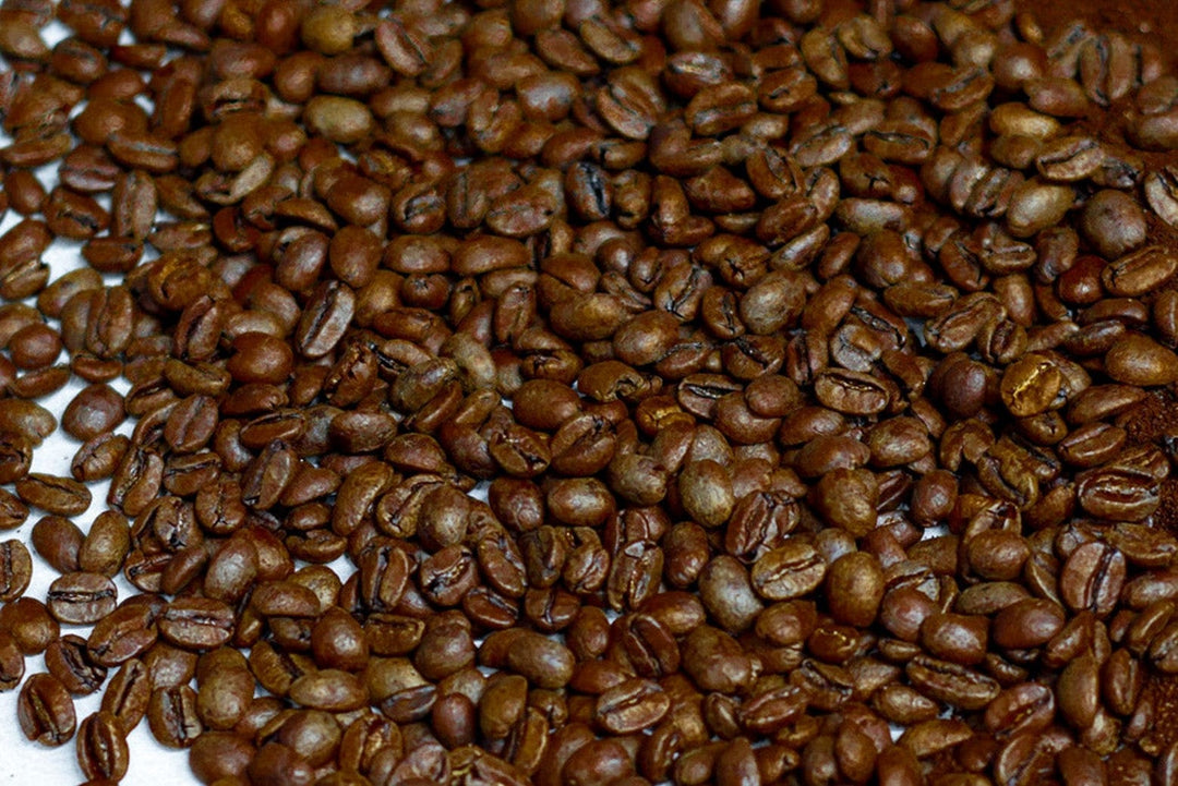 Magnum Coffee Kooi Housewares Coffee - Jamaica Blue Mountain Blend Whole Bean