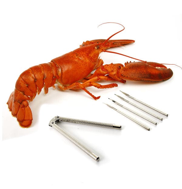 Norpro Norpro Metal Shellfish / Nut Cracker with Four Meat Picks