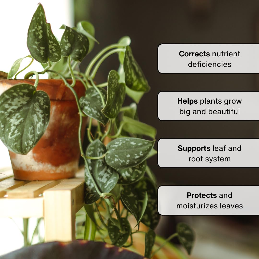 indoor plants vitamins Super Growth Elixir Plant Health Spray by Urban Gardener – Kooi Housewares