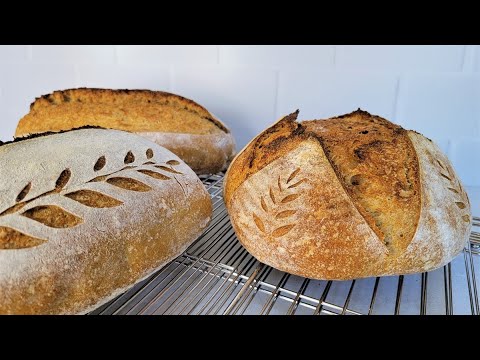 Breadtopia Bread Lame with 5 Blades & Storage Box - Bread Scoring Tool