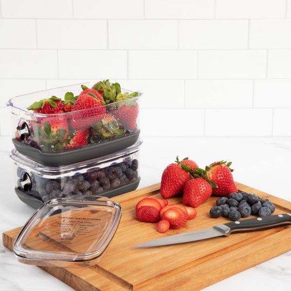 Progressive Progressive Berry Produce Prokeeper+ Food Storage Container