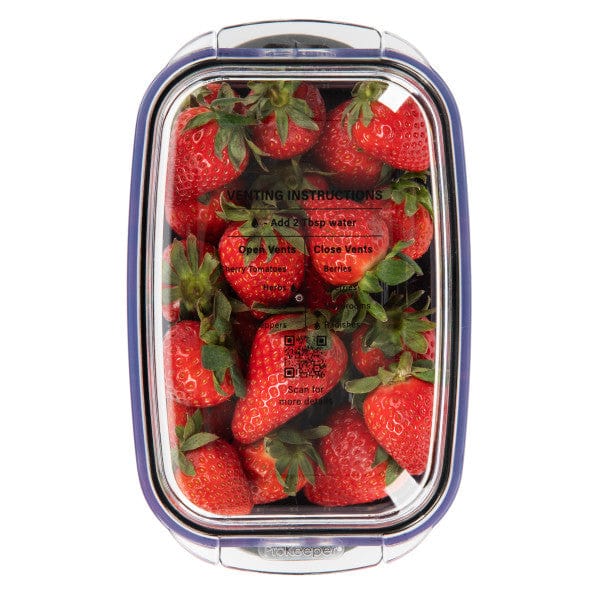 Progressive Progressive Berry Produce Prokeeper+ Food Storage Container