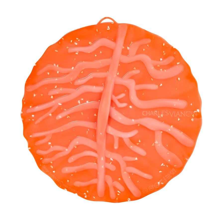 Coastal Beach Themed Silicone Reusable Lid Covers by Charles Viancin for Mixing Bowls, Pots and Pans, Containers, and Cookware