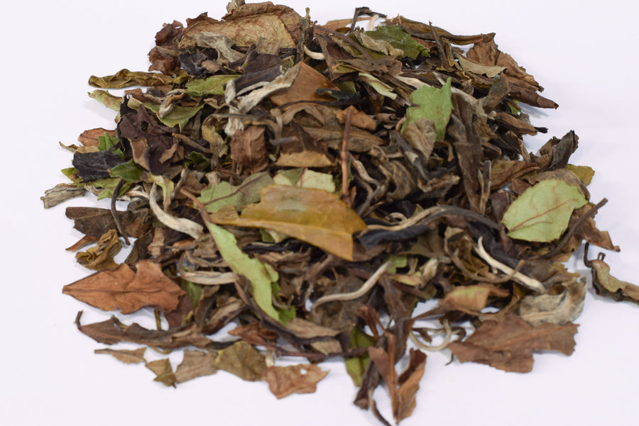 Teaologie Teaologie White Peony White Tea